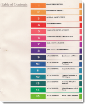 Sample Audit TOC. Click to view larger image.