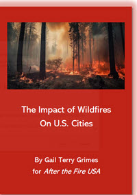 Cover: Wildfire Risk to Cities report